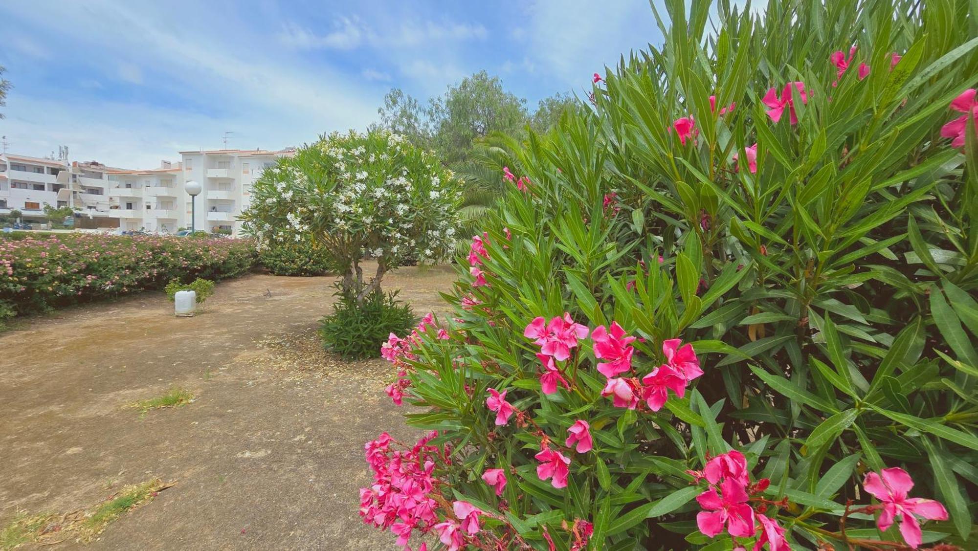 Praia Eulalia With Pool And 5 Minutes From The Beach Albufeira Extérieur photo
