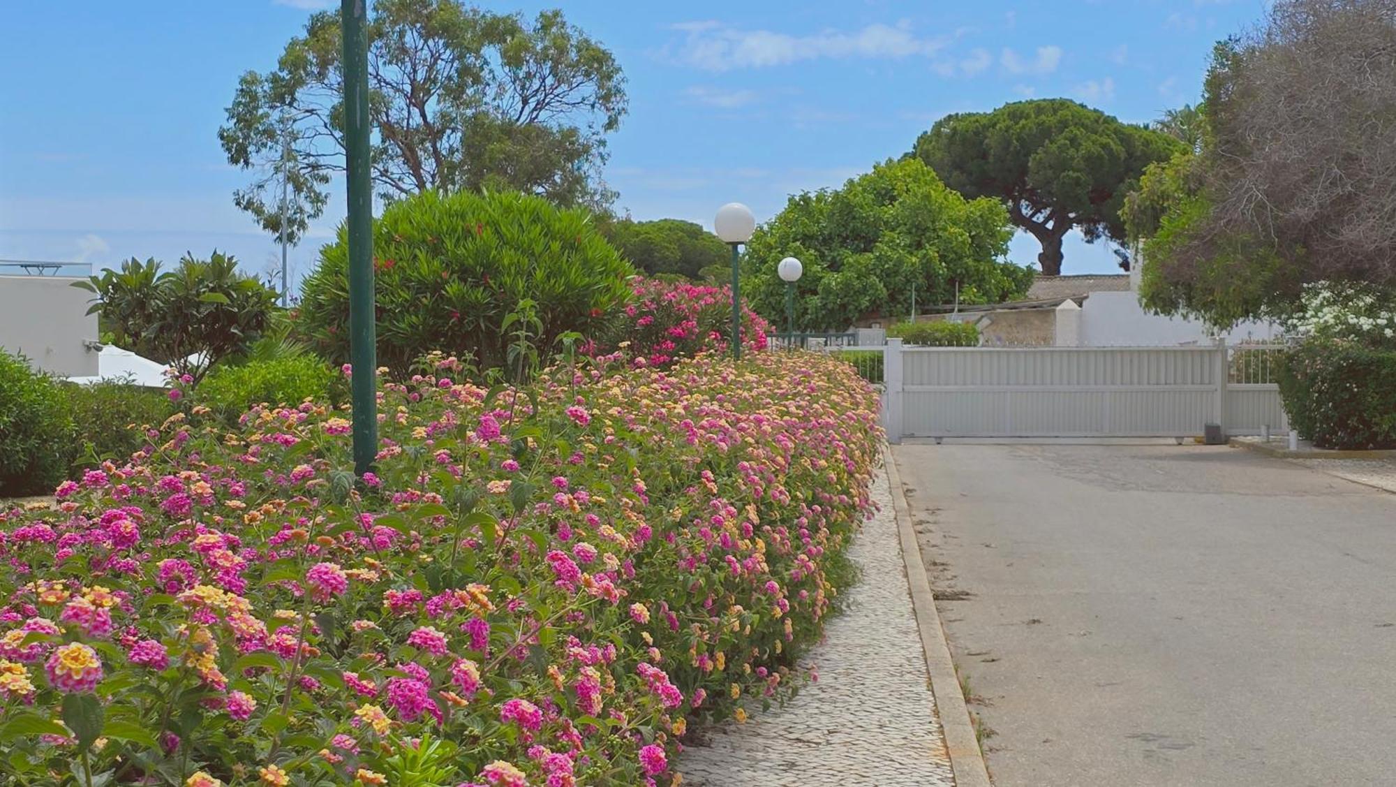 Praia Eulalia With Pool And 5 Minutes From The Beach Albufeira Extérieur photo